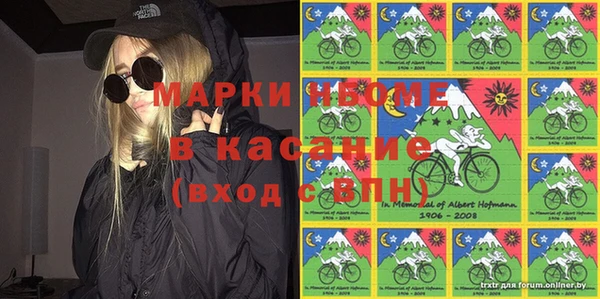 мдпв Каменка