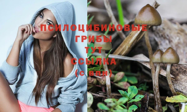 мдпв Каменка
