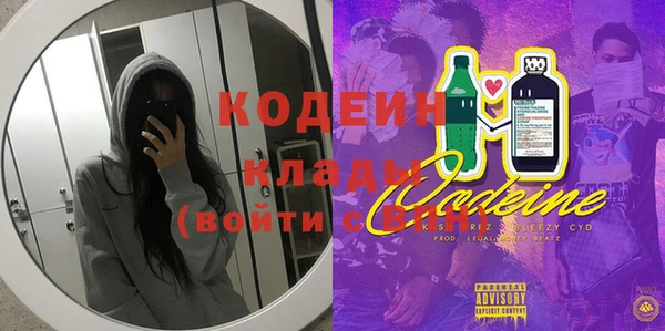 мдпв Каменка