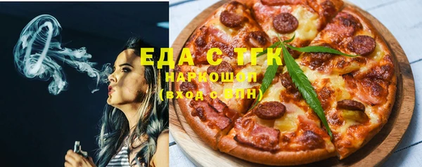 мдпв Каменка