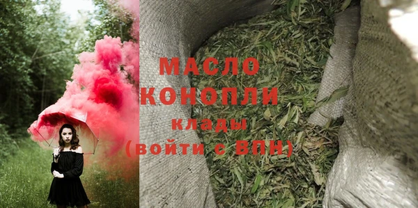 мдпв Каменка