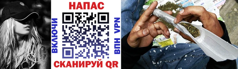 закладки  Нариманов  Марихуана план 